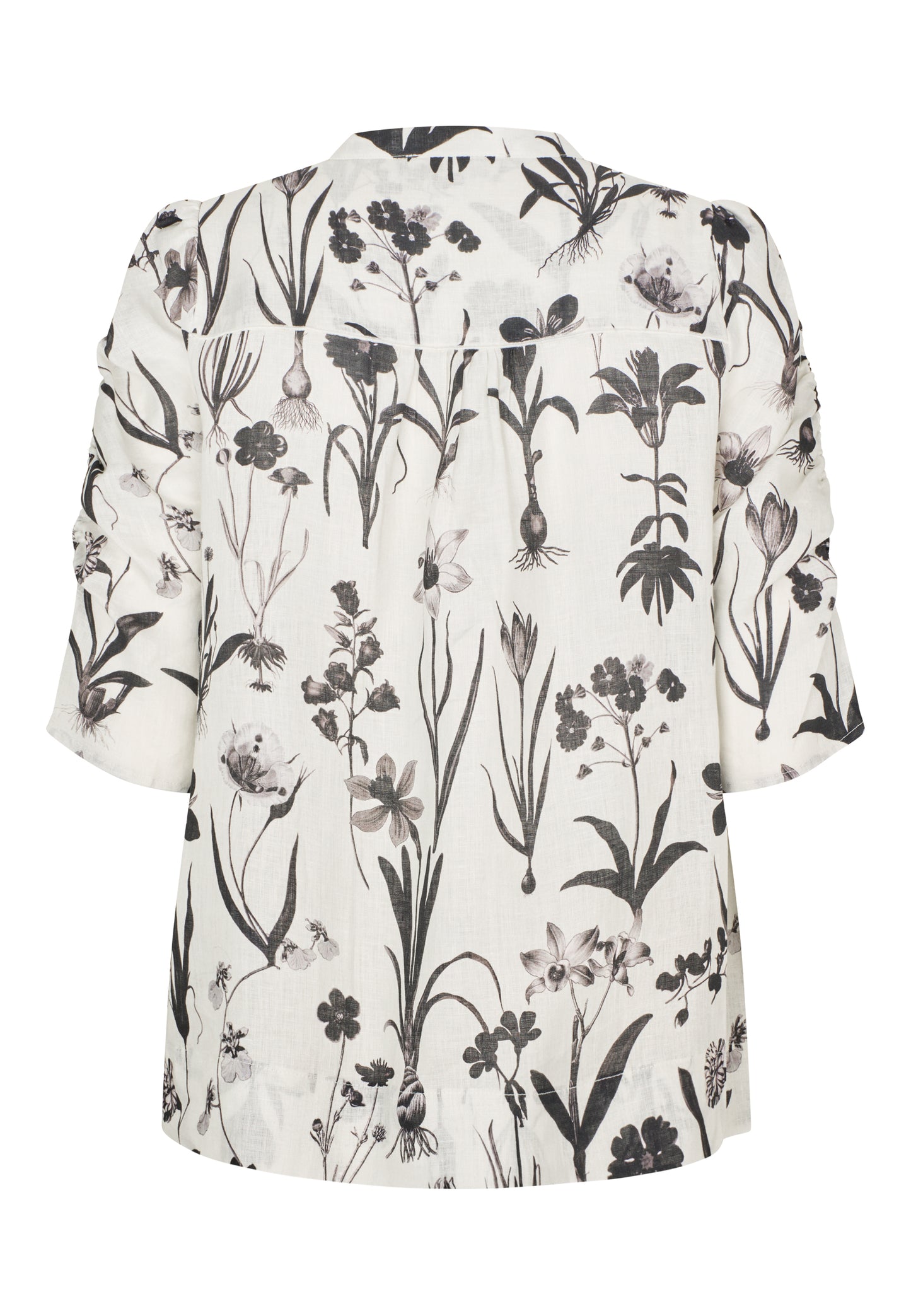 RAFAELADEA - DEA KUDIBAL - FLOWER SEEDS